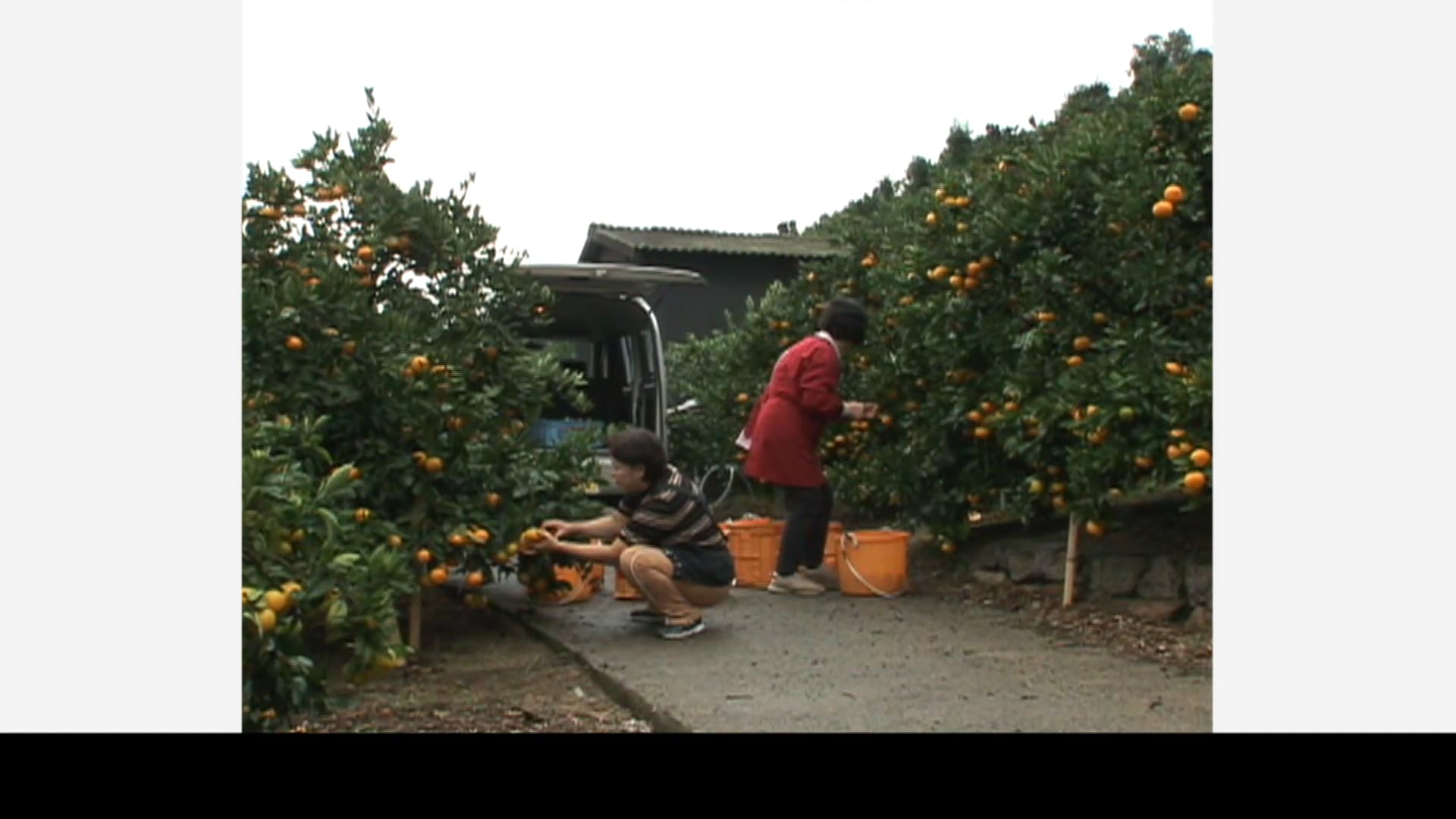  (有)ウド・エルゴ研究所　