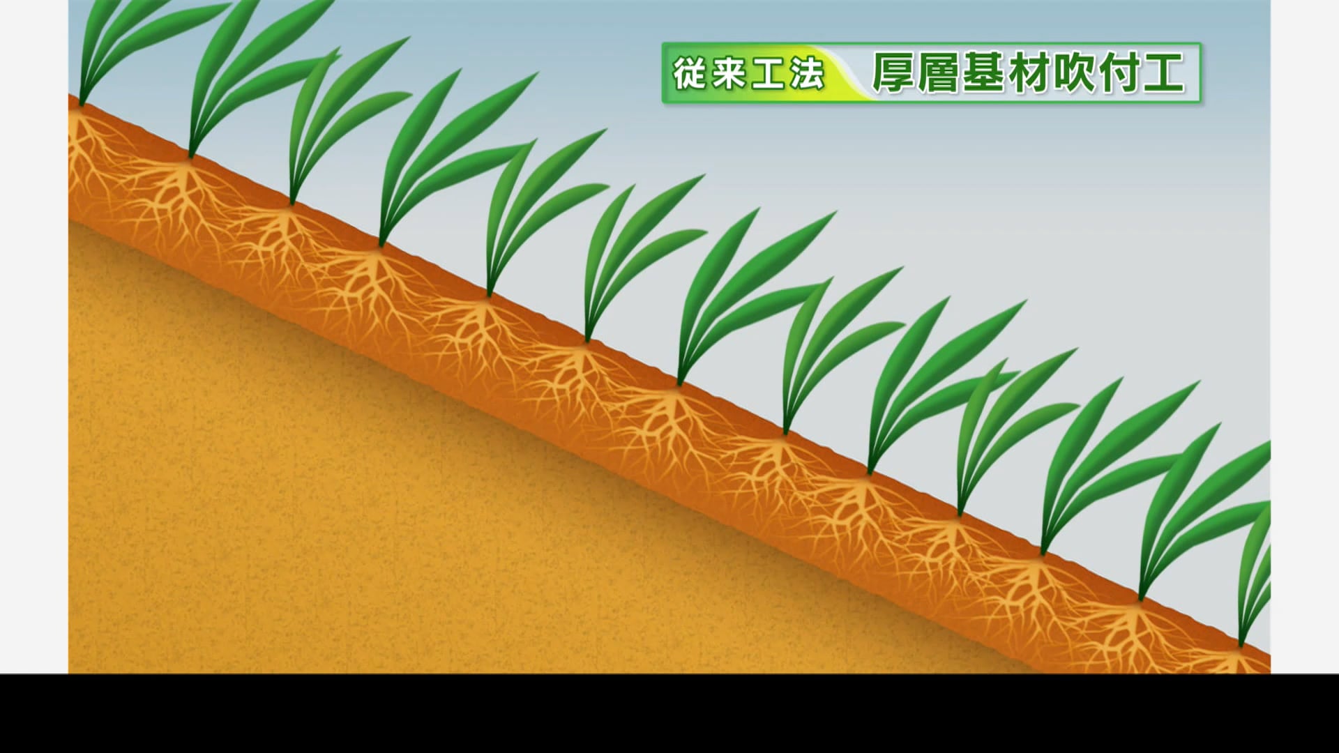 多機能フィルター株式会社
